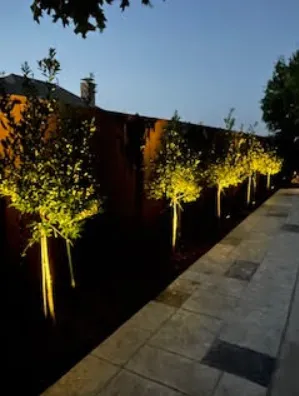 Reliable landscaping services for outdoor upgrades across McKinney, TX - Secret Gardens