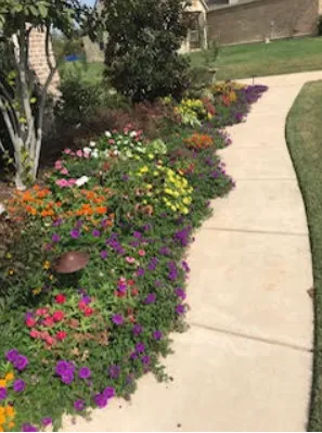 Expert landscape design near you across McKinney, TX - Secret Gardens