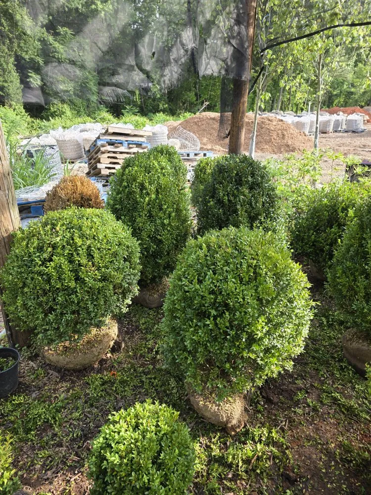 Expert yard cleanup service for residential properties across Anderson, SC - Secret Gardens of the Upstate