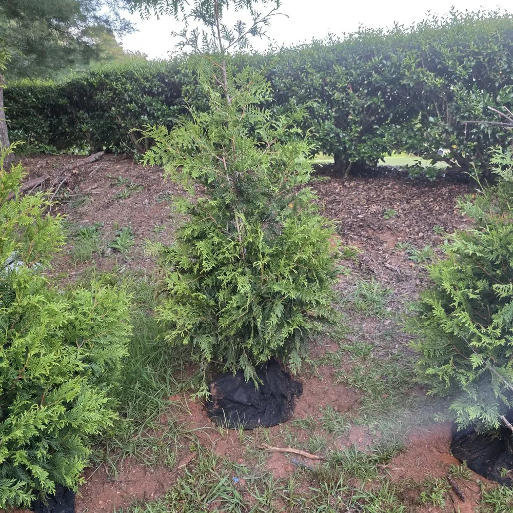 Top-rated lawn mowing service with custom design in Anderson, SC by Secret Gardens of the Upstate