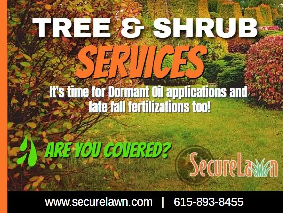 Trusted residential landscaping in Murfreesboro, TN by Secure Lawn