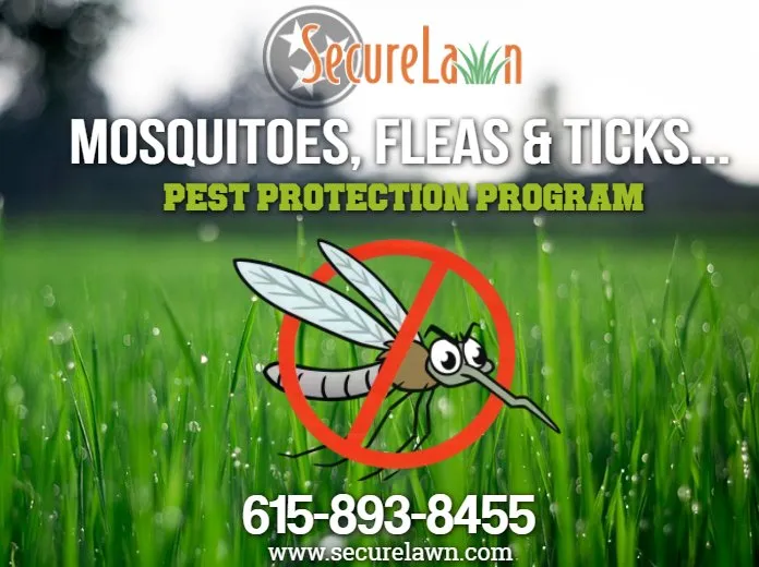 Reliable landscaping services for outdoor upgrades in Murfreesboro, TN by Secure Lawn