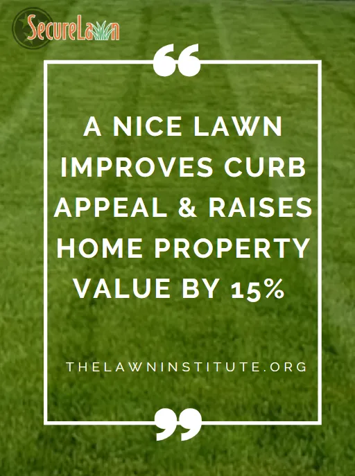 Custom yard cleanup service in Murfreesboro, TN - Secure Lawn