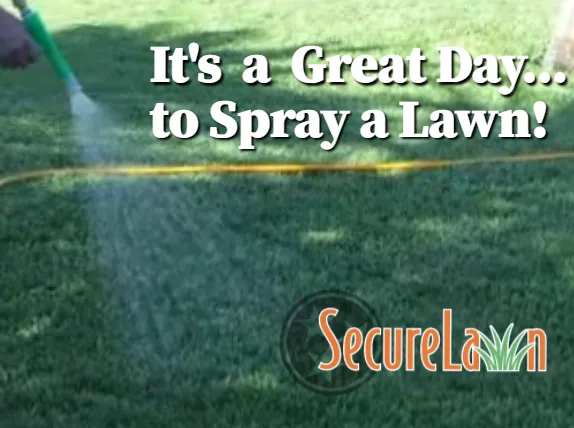 Expert landscape design in Murfreesboro, TN by Secure Lawn