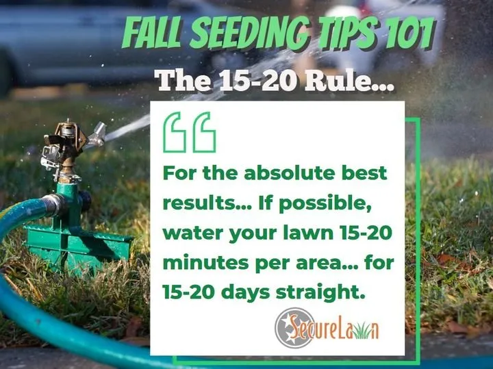 Reliable yard maintenance for year-round maintenance in Murfreesboro, TN by Secure Lawn