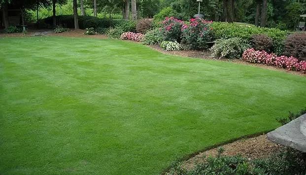 Local yard cleanup service in Indian Trail, NC by Secure Tree Services