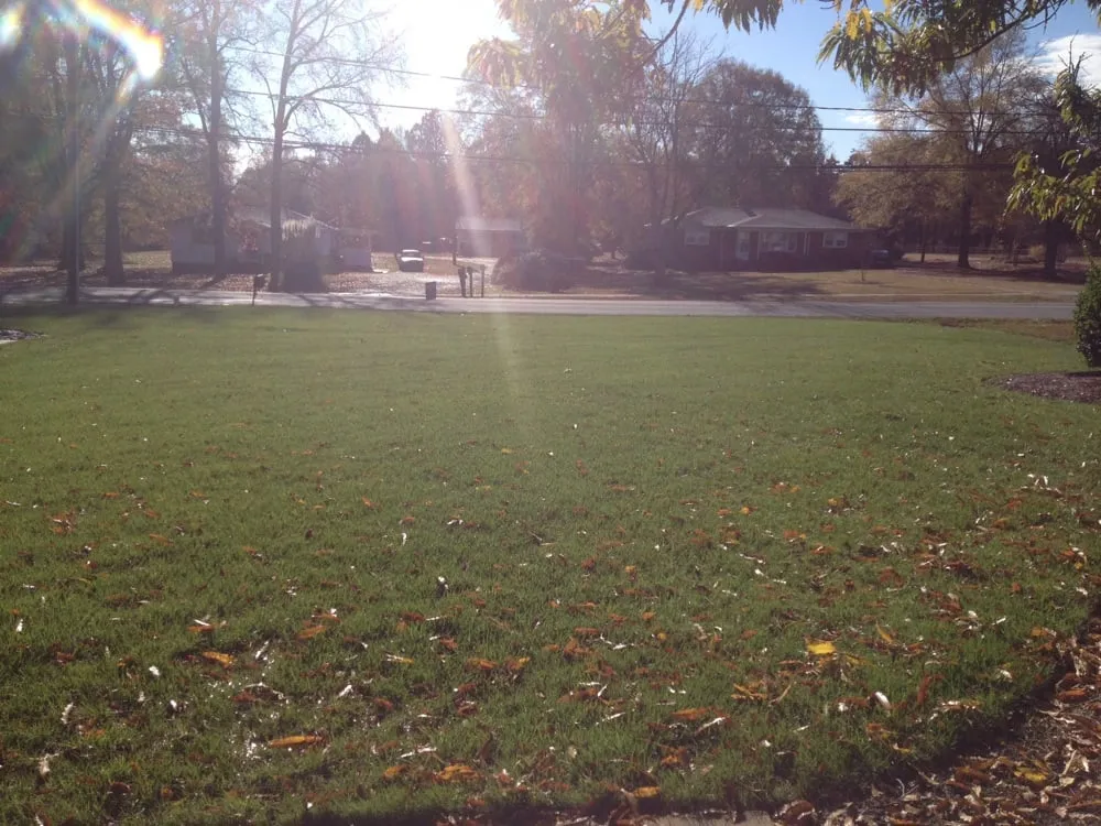 Top-rated yard cleanup service experts serving Indian Trail, NC - Secure Tree Services