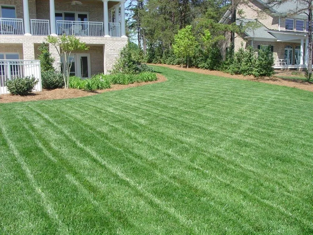 Top-rated landscape design for beautiful yards across Indian Trail, NC - Secure Tree Services