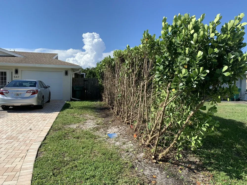 Top-rated yard maintenance in Naples, FL - SecureEye Homewatch Services