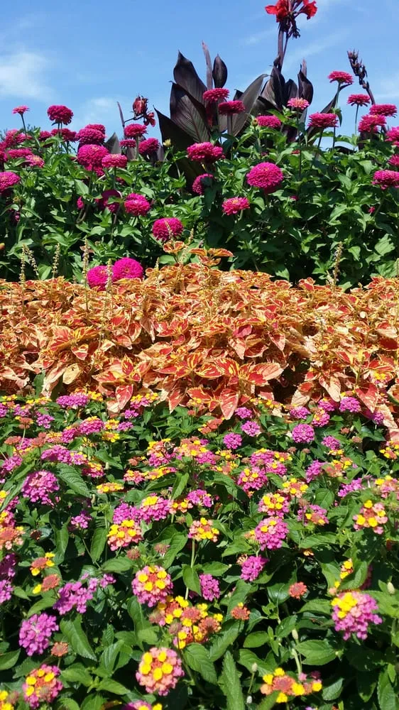 Expert landscape installation for residential properties across Pittsburgh, PA - Sedgwick Land and Limb