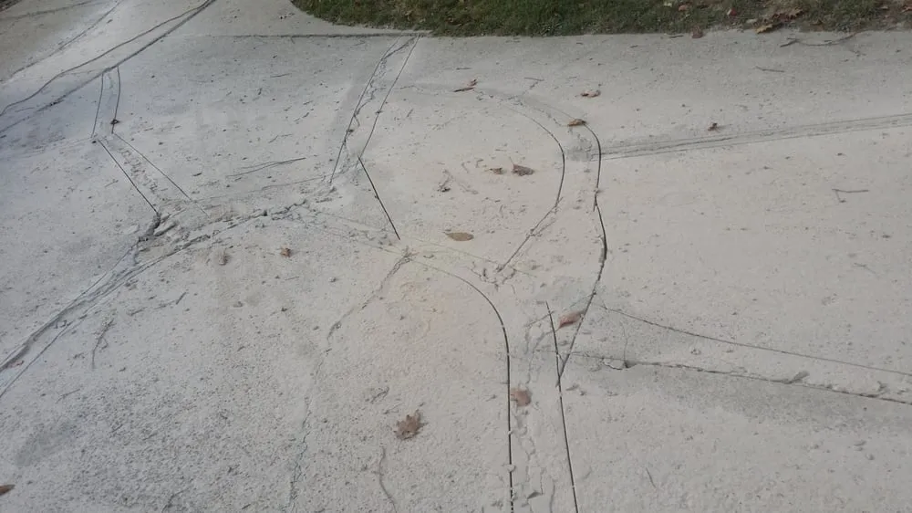 Custom landscape installation in Pittsburgh, PA by Sedgwick Land and Limb