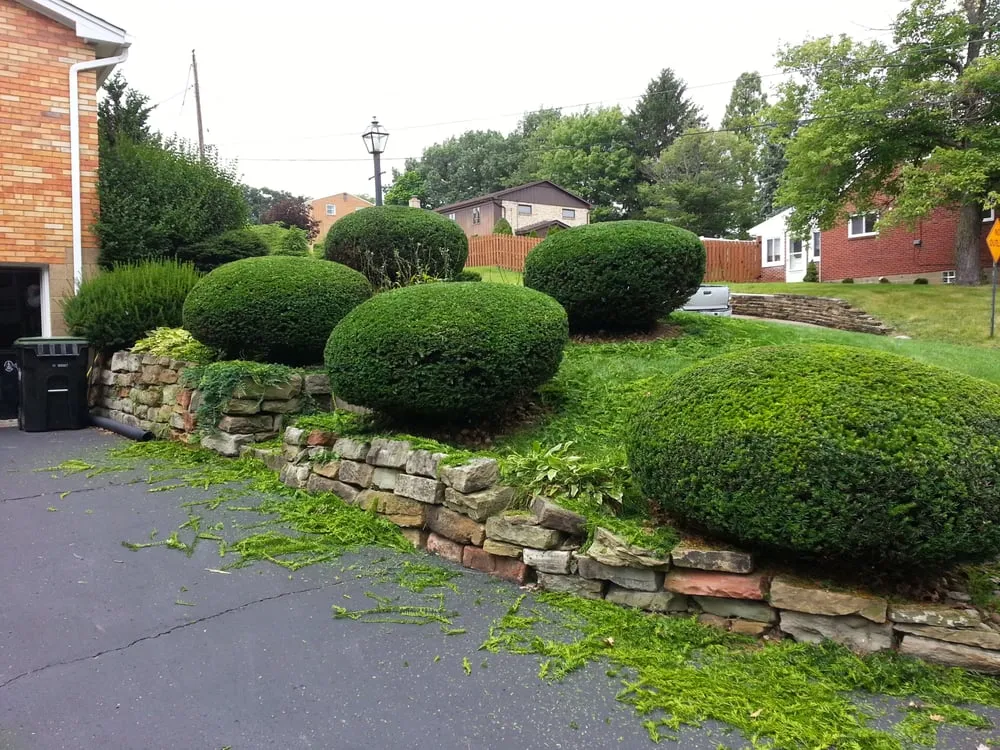 Affordable outdoor landscaping in Pittsburgh, PA by Sedgwick Land and Limb