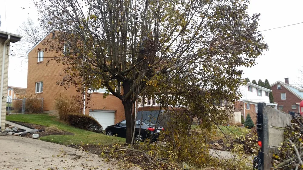 Top-rated residential landscaping in Pittsburgh, PA - Sedgwick Land and Limb