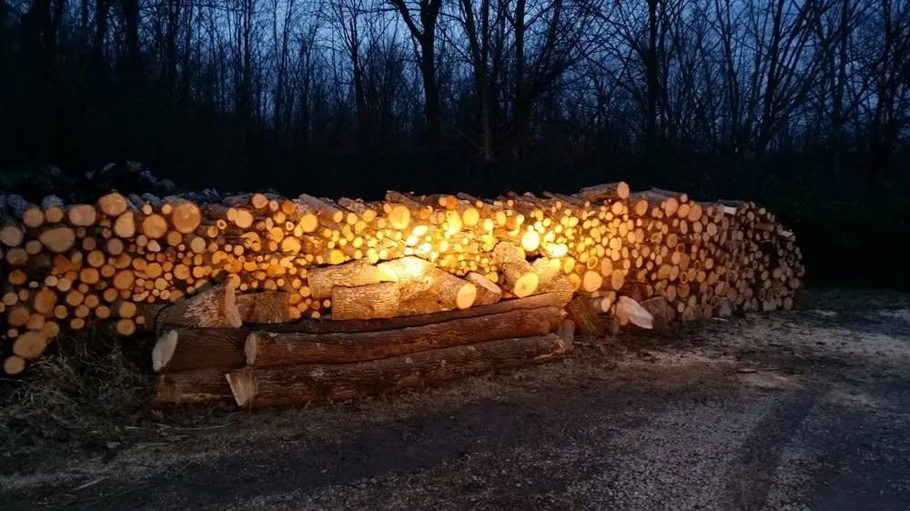 Top-rated lawn mowing service with custom design in Pittsburgh, PA by Sedgwick Land and Limb