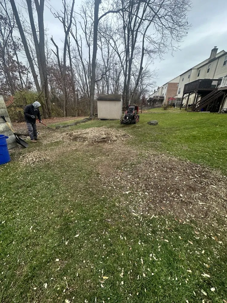 Local yard cleanup service for residential properties in Lower Frederick Township, PA by Sedgwick Landscaping