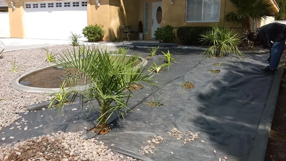 Trusted lawn care service experts serving Victorville, CA - Sedillo & Son Landscaping