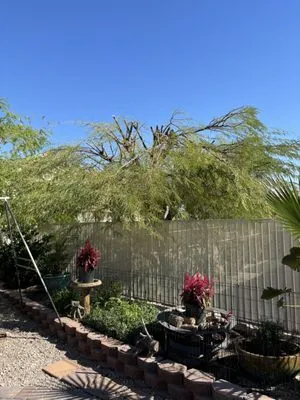 Sedillo & Son Landscaping Logo