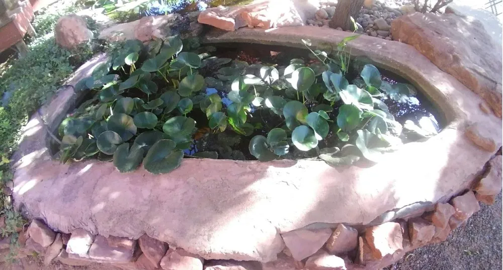 Trusted yard maintenance for homes in Cottonwood, AZ by Sedona New Earth Landscaping