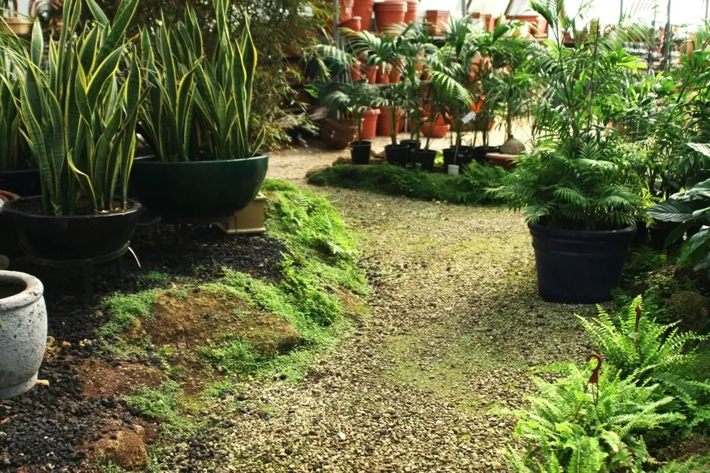 Top-rated landscape installation in Cottonwood, AZ by Sedona New Earth Landscaping