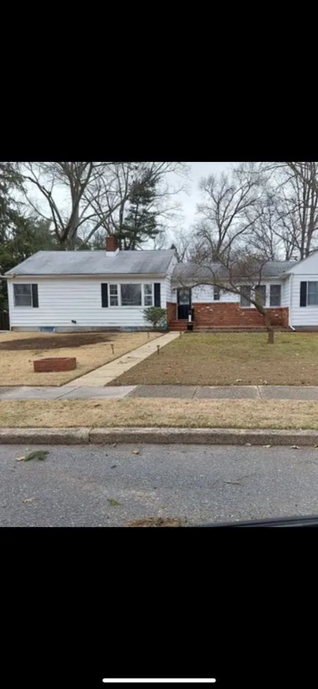 Top-rated yard cleanup service experts serving Clayton, NJ - See Clear Tree & Property Services