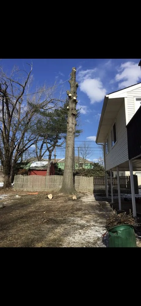 Professional garden landscaping for year-round maintenance across Clayton, NJ - See Clear Tree & Property Services