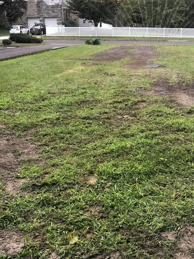 Reliable yard cleanup service for residential properties in Clayton, NJ by See Clear Tree & Property Services