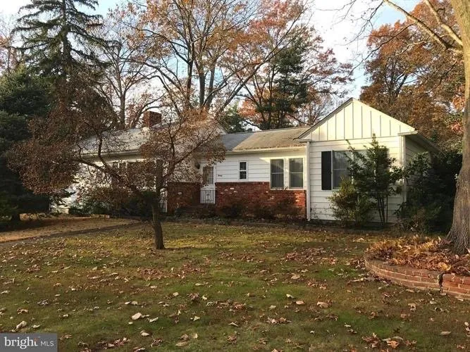 Reliable garden landscaping in Clayton, NJ - See Clear Tree & Property Services