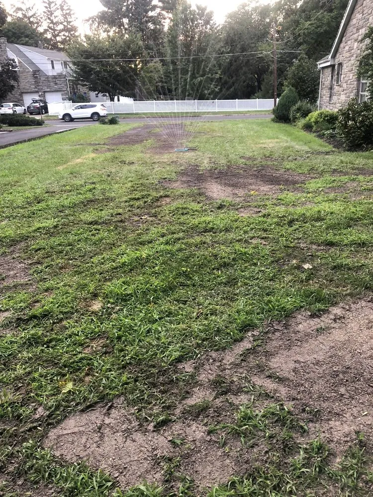 Professional lawn mowing service experts serving Clayton, NJ - See Clear Tree & Property Services