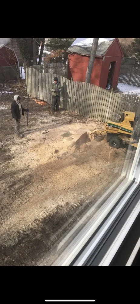 Trusted landscaping services for year-round maintenance in Clayton, NJ by See Clear Tree & Property Services