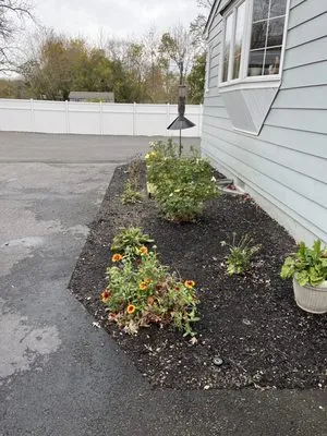 See Clear Tree & Property Services