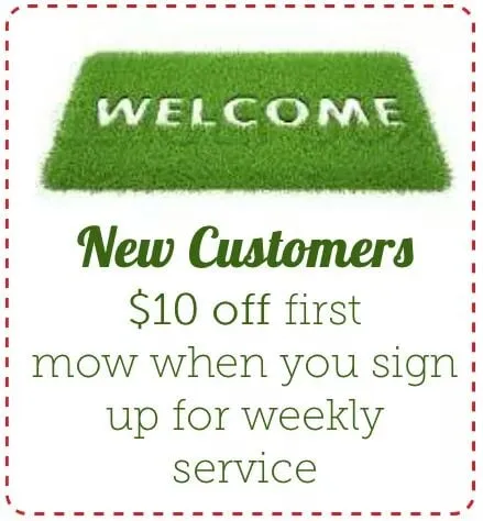 Reliable landscape design in Spanish Fork, UT by See Green Lawn Care & Maintenance