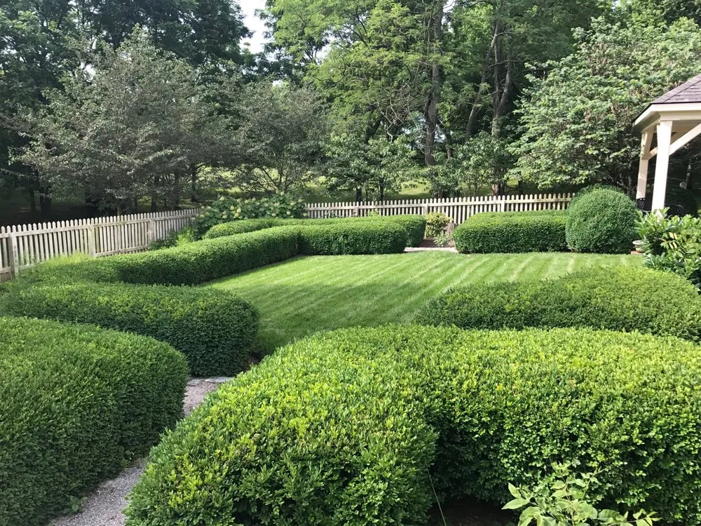 Trusted lawn mowing service in Lexington, KY - See Green