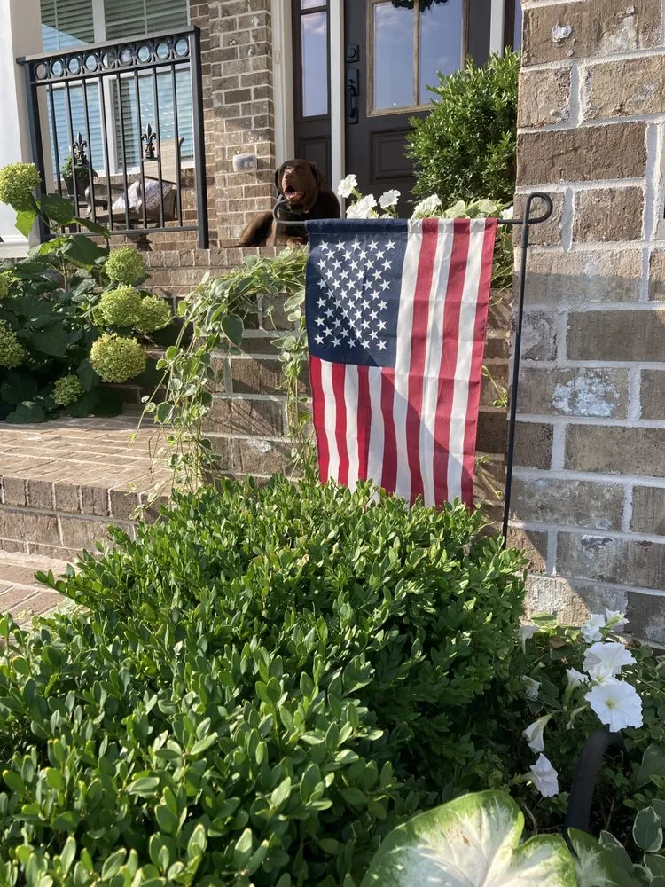 Affordable yard maintenance experts serving Lexington, KY - See Green