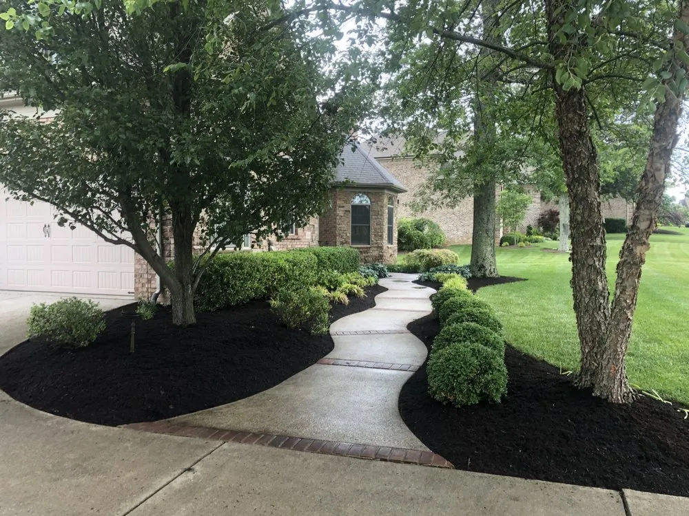 Affordable landscaping services for beautiful yards in Lexington, KY by See Green