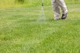 Professional lawn care service for outdoor upgrades in Lexington, KY by See Green