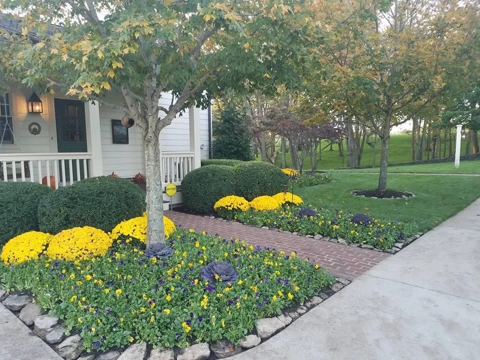 Custom yard maintenance in Lexington, KY by See Green