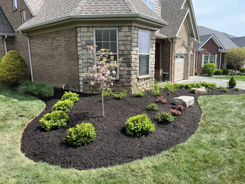 Professional yard cleanup service for residential properties across Lexington, KY - See Green