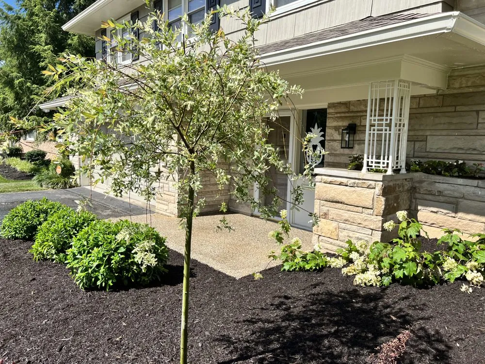 Professional landscaping services for homes across Lexington, KY - See Green