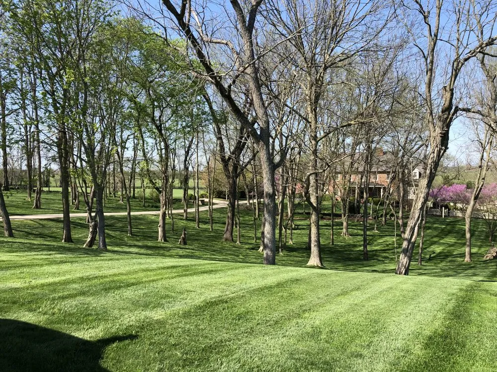 Reliable outdoor landscaping for year-round maintenance across Lexington, KY - See Green