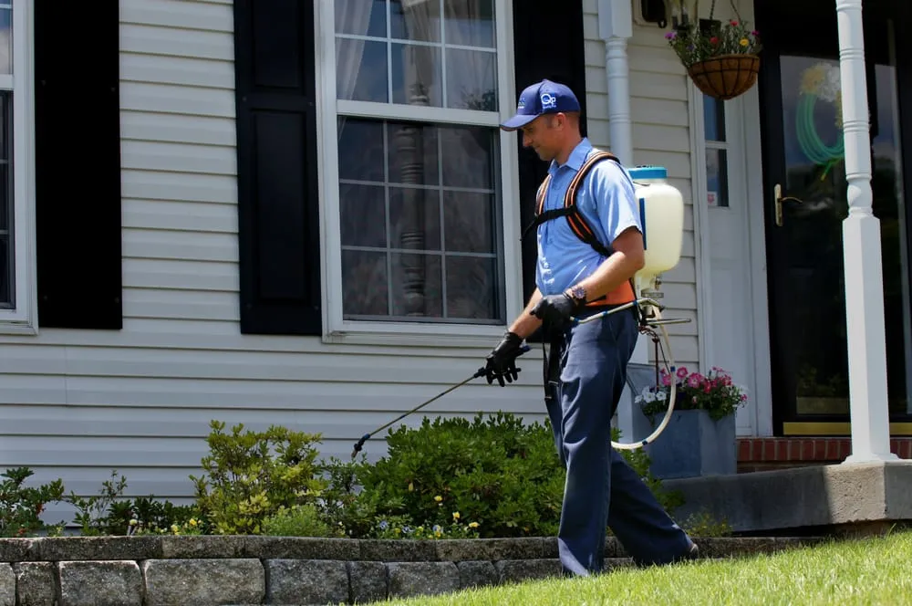 Reliable landscaping services in Collegeville, PA - SEE Pest and Lawn Solutions