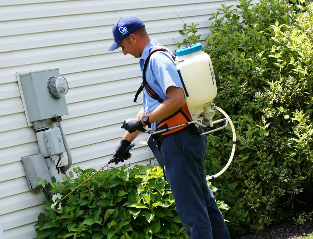 Reliable landscaping services for year-round maintenance in Collegeville, PA by SEE Pest and Lawn Solutions