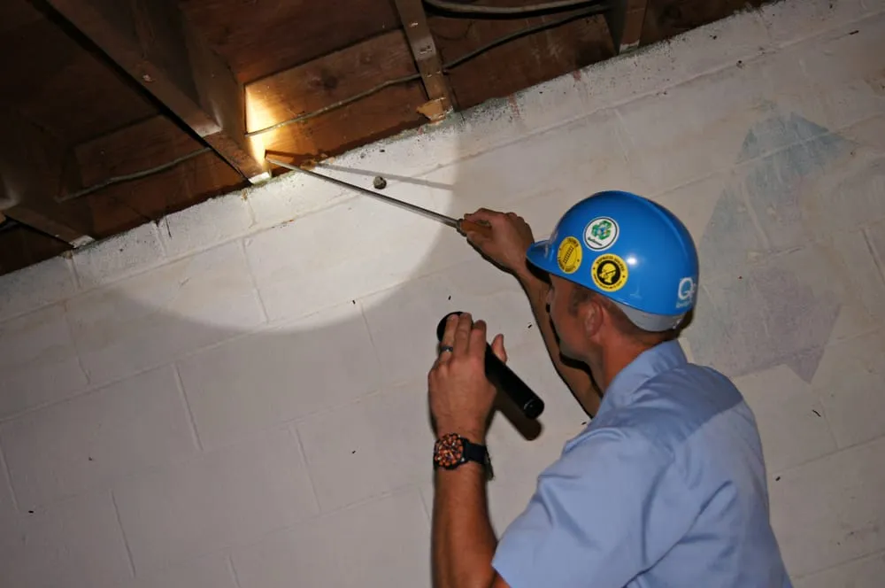 Custom yard maintenance for residential properties in Collegeville, PA by SEE Pest and Lawn Solutions