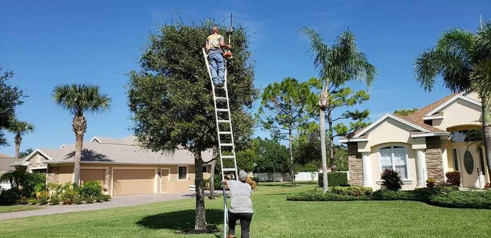 Top-rated lawn mowing service for outdoor upgrades in Palm Bay, FL by See Weeds Mowing and Landscaping