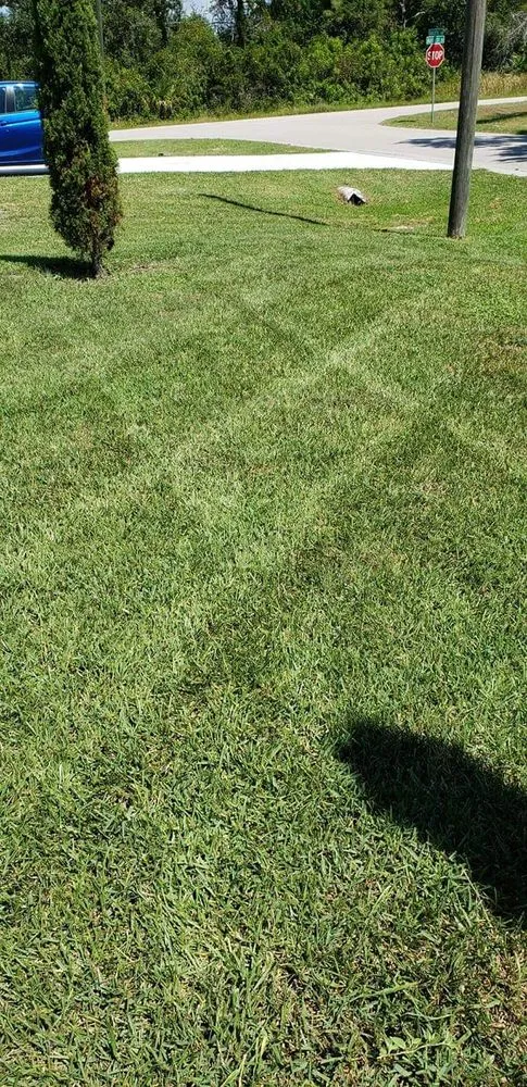 Top-rated landscape installation in Palm Bay, FL by See Weeds Mowing and Landscaping