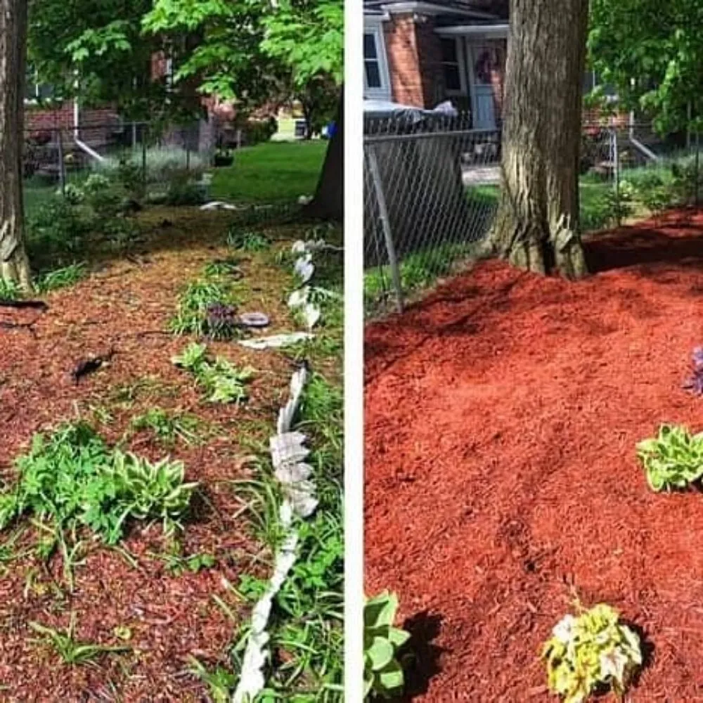 Top-rated landscape design in Orion charter Township, MI by Seed & Harvest Landscaping
