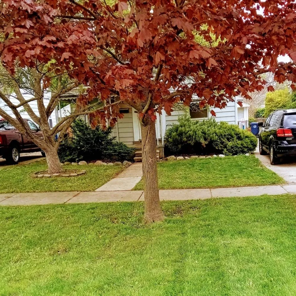 Trusted landscape installation for outdoor upgrades across Orion charter Township, MI - Seed & Harvest Landscaping
