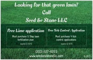 Reliable outdoor landscaping experts serving Shelton, CT - Seed & Stone