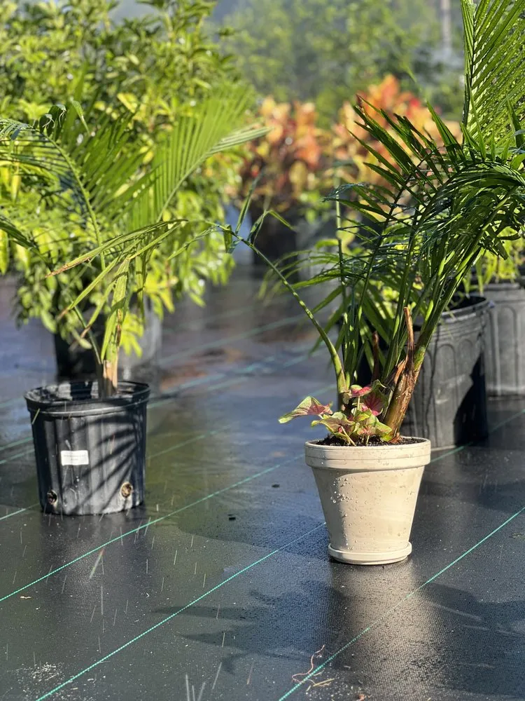 Reliable lawn mowing service experts serving Wauchula, FL - Seed 2 Soul