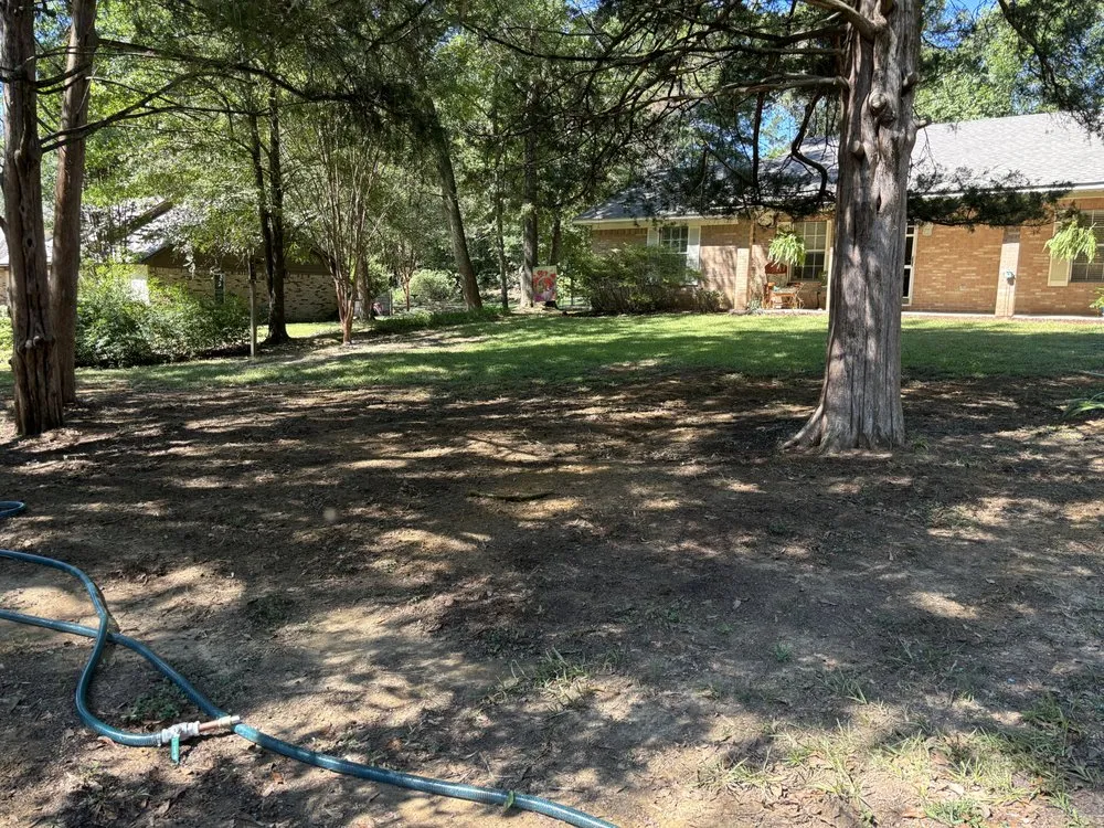 Custom landscape design for year-round maintenance across Ridgeland, MS - Seed and Soil Solutions