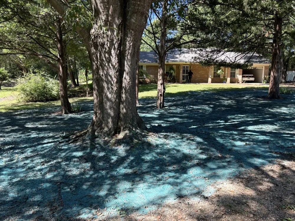 Expert lawn mowing service in Ridgeland, MS by Seed and Soil Solutions